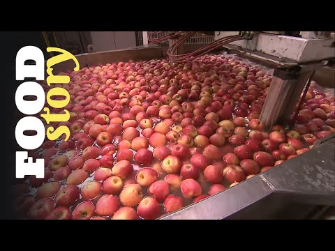 Vidéo: Que sont les pommes Pink Lady : En savoir plus sur la culture de la pomme Pink Lady