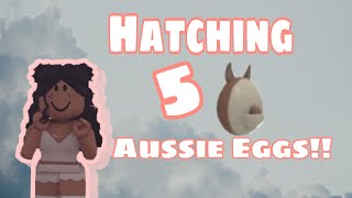 Hatching 5 Aussie Eggs | Scarletions