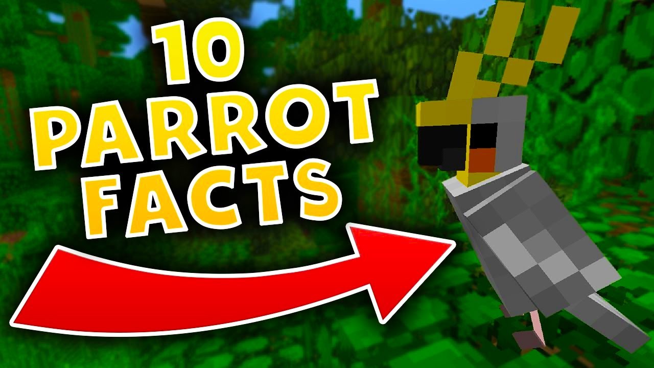 10 Minecraft Parrot Facts Minecraft Snapshot 17w13b Youtube