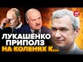 ⚡️ЛАТУШКО: Лукашенко получил ПОСЛЕДНЕЕ ПРЕДУПРЕЖДЕНИЕ / Это конец! / Путин ПОТЕРЯЛ союзника?