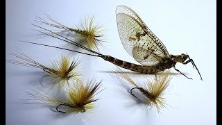 Tying an Irish Mayfly Dun (Parachute Style Dry Fly) with Davie McPhail