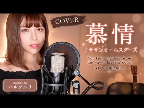 【COVER】慕情/サザンオールスターズ