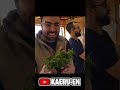 Cortando bonsai por la mitad