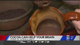 Study says cocoa can help your brain Flavonols In Cocoa May Boost Brain Function Study Shows
