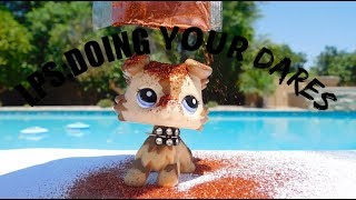 Lps Doing Your Dares