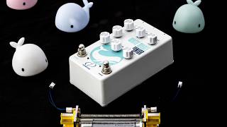 Crazy Tube Circuits White Whale Jr - Demo With Synths