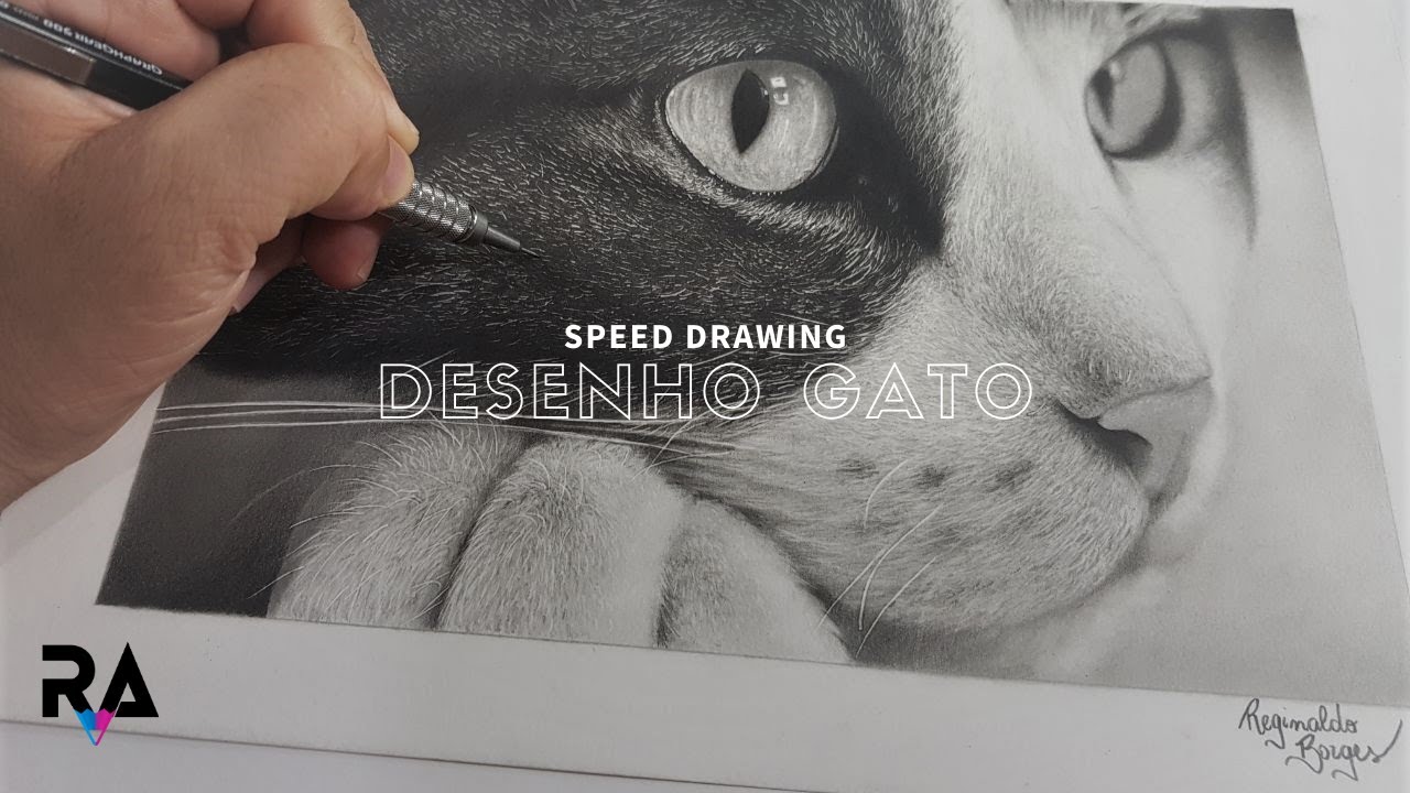 Desenho Realista de Gato - Black Cat