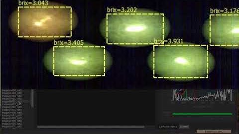 Tomato brix estimation from hyperspectral image