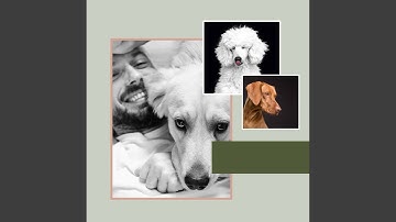 Pulsating Ambience for Doggy Sleep Zone