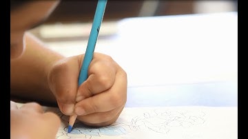 How trauma affects the developing brain