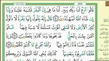 صفحه رقم 11 من القرآن الكريم الحفظ لهذا اليوم