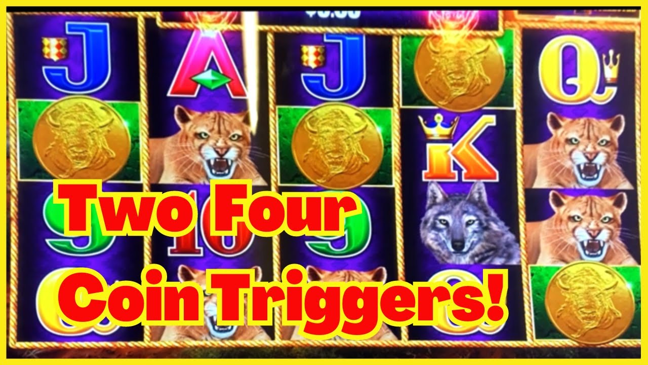 4 монеты срабатывают дважды! Buffalo Link увлекательная сессия со всеми функциями. Очень понравилось