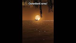 Спокойной ночи 🌙 Приятных и нежных снов 🦋🦋🦋