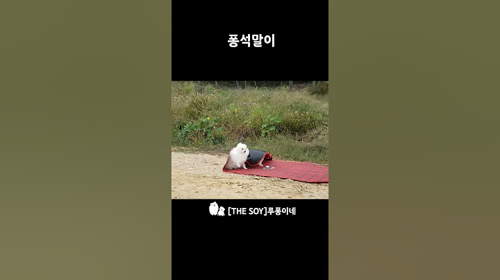 돗자리가 강아지를 훔쳐갔어요!  전설의 그 퐁키말이  #루퐁이네#강아지