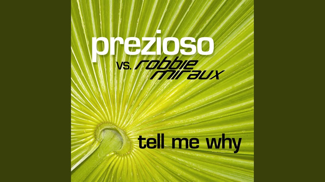 Tell me why песня перевод. Tell me why prezioso. Prezioso feat. Marvin - tell me why. Tell me why песня.