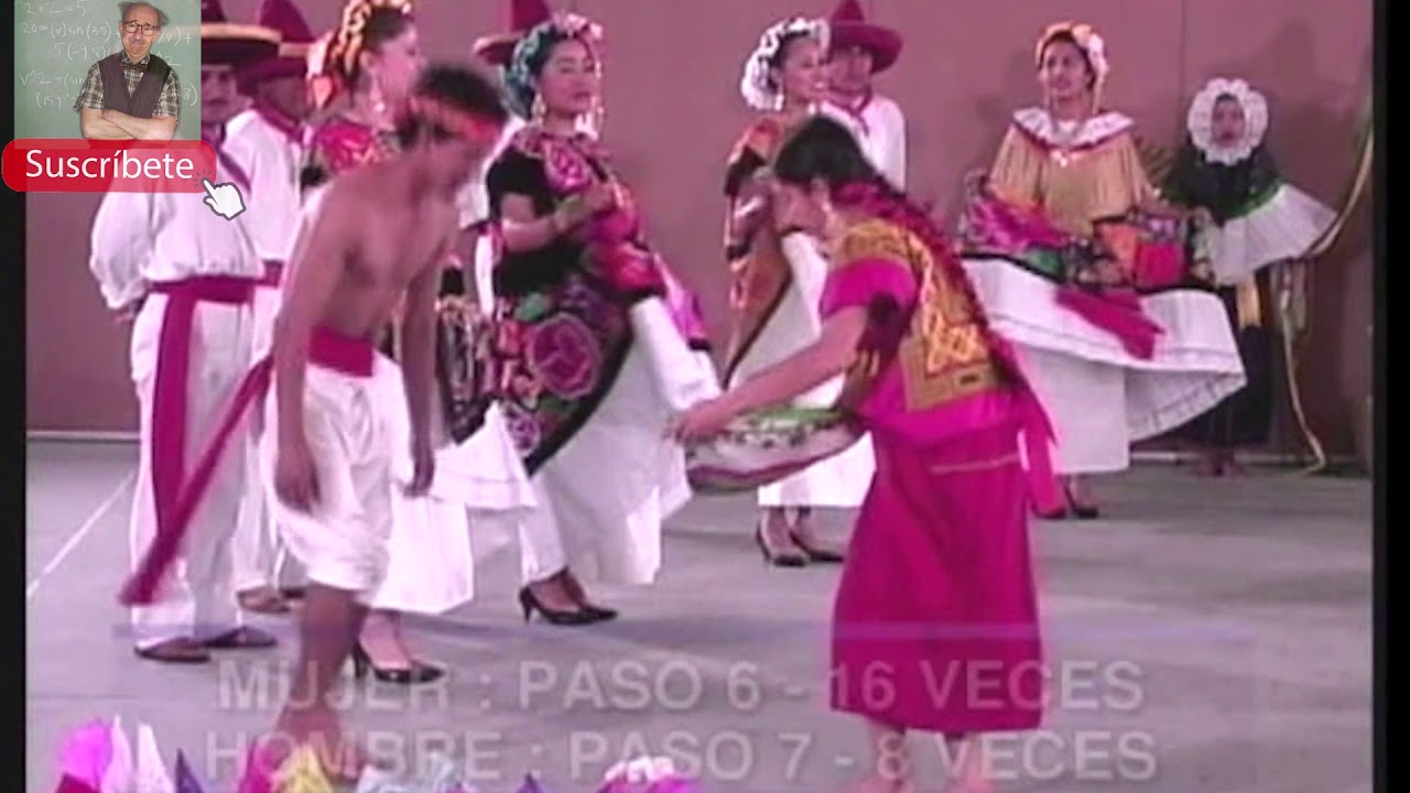 La tortuga del arenal (con pasos básicos) Baile Folcklorico de Oaxaca
