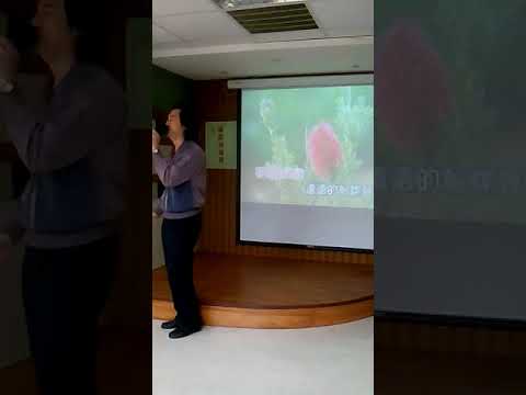 台語歌曲   傷心夜港邊 ( 陳盈潔主唱 )沈文程詞曲~不遵守保持安靜~陳星福~老人站第1376首