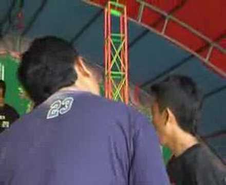 organ kucing garong