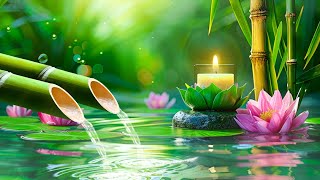 Bamboo Water Fountain Healing 24/7 Relaxing music with the sounds of nature, Bamboo Water Fountain