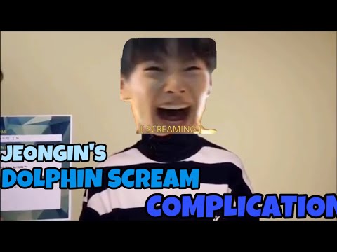 Jeongin’s Dolphin Scream Compliation