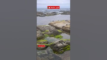 #تلاوة_خاشعة  /وإذا قرئ القرآن فاستمعوا له وأنصتوا لعلكم ترحمون /ياسر الدوسري #quran #قرآن