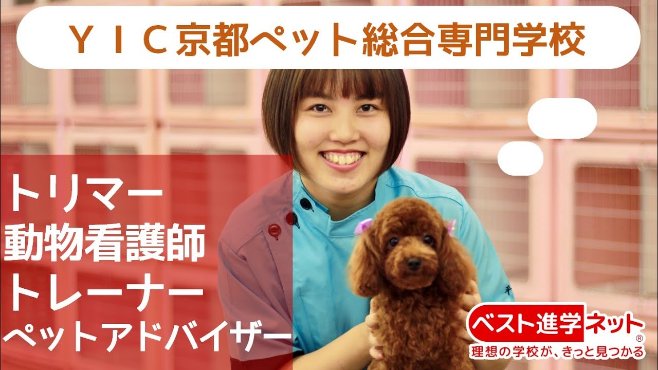 ｙｉｃ京都ペット総合専門学校 学校案内 資料請求はコチラ ベスト進学ネット