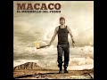 Video Sol Macaco