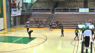 Firestone Varsitey Volleyball Buchtel - 082812