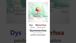 Dysmenorrhea : Medical Prefix Hacks for Nursing & Med Exams 🧠