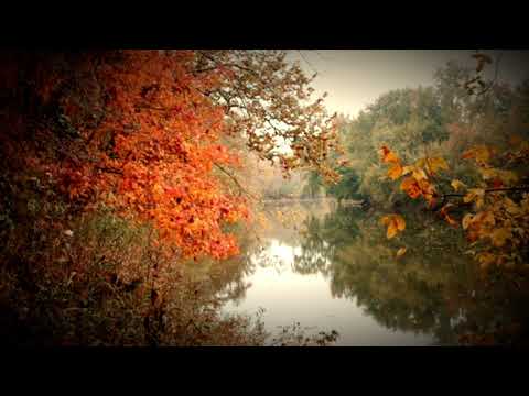 YouTube에서 What After This? - The Inevitable Fall 보기