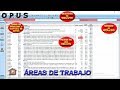 OPUS.- Áreas de Trabajo