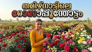 തമിഴ്നാട്ടിലെ റോസാ പൂന്തോട്ടം /Tamil Nadu Rose garden 