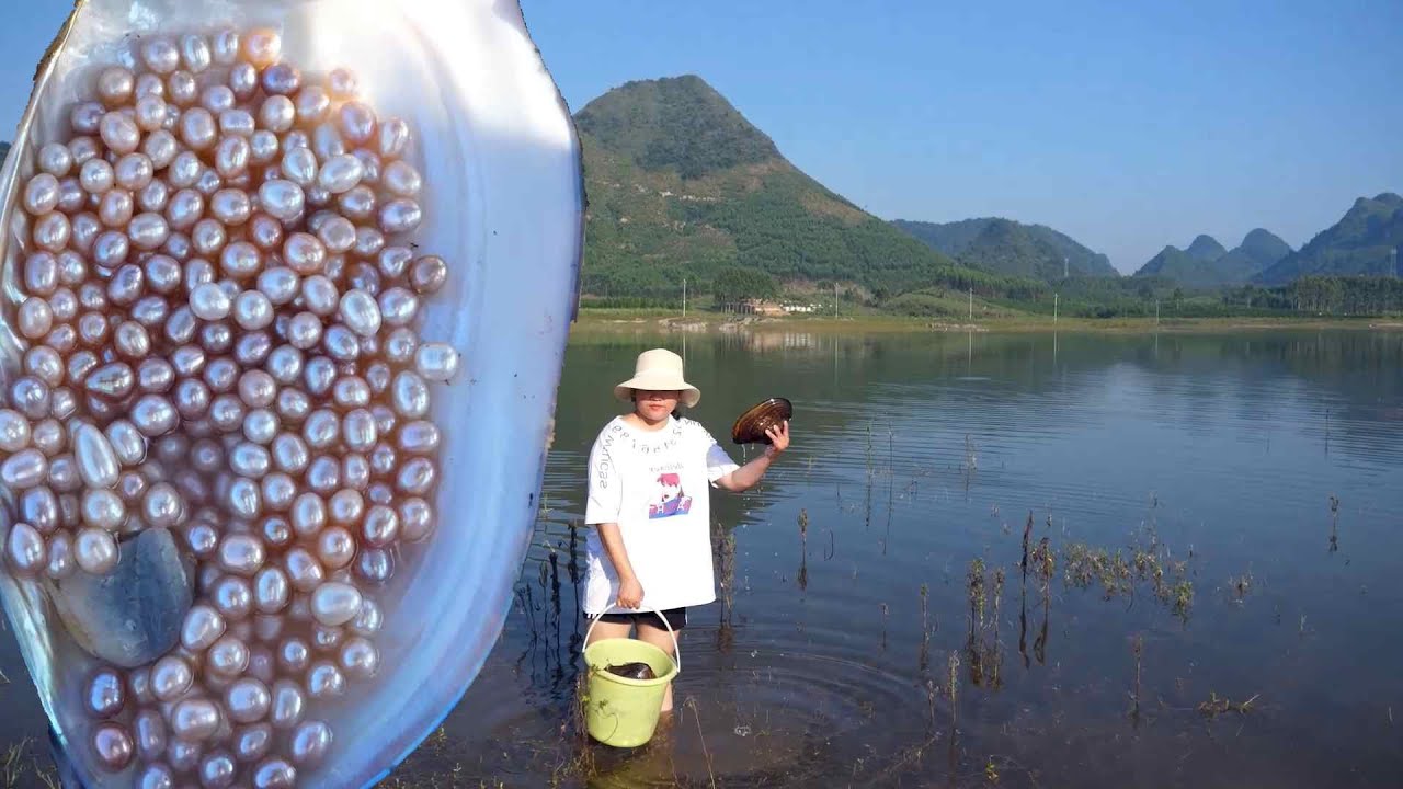 Golden pearls appear in giant mussels, and there are surprises in the