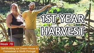 Potatoes & Onions harvest - 1st food grown on our Portuguese Homestead | EXCITING HARVEST 2023