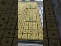 G&N'S Hydroponic seed germination