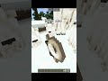 Minecraft ki Chillane wali Bakri 🐐| Found a screaming goat #PyaruGaming78