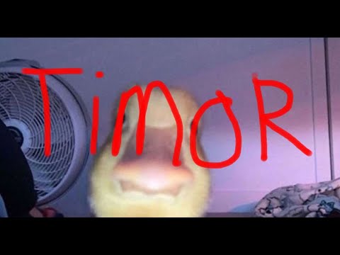 Timor 100% [Top 150] Extreme Demon, Geometry Dash. - YouTube