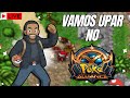 Sera que sai Shiny hoje? PKA #pxg #pokexgames #tibia #livepix #tibia #pokemon #poketibia #pka