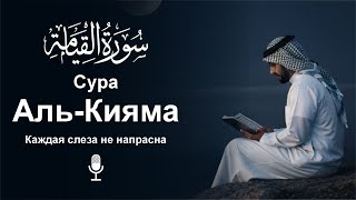 Сура Аль-Кыяма سورة القیامه | Красивое чтение, чтобы успокоить и вдохновить сердце утешение