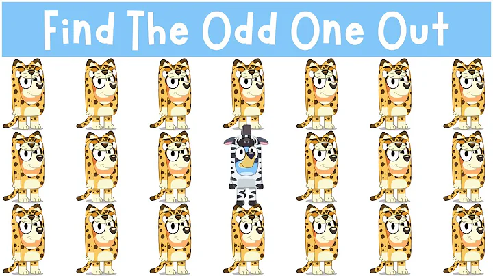 Find The Odd One Out: Bluey and Friends Pretend Play