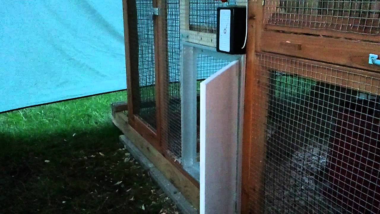 Pullet Shut Door Closing At 9pm Youtube