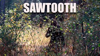 Sawtooth - Bigfoot Sasquatch Found Footage Feature (2008)
