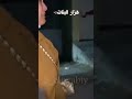 الفرق بين هزار بنات والولاد
