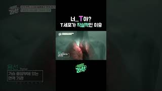 너...T야? T세포가 직설적인 이유 #자가면역 #T세포 #MBTI #데프콘 #신의철