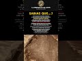 ¿Qué tecnología utilizó Nazca?