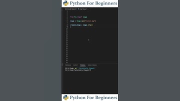 How To Crop An Image Using Python | Python For Beginners