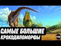 ТОП 8 САМЫХ БОЛЬШИХ ДРЕВНИХ КРОКОДИЛОВ И КРОКОДИЛОМОРФОВ