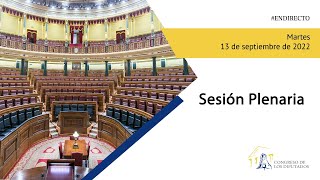 Sesión Plenaria (13\/09\/2022)