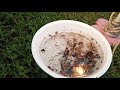 Guaranteed mosquito trap part 1