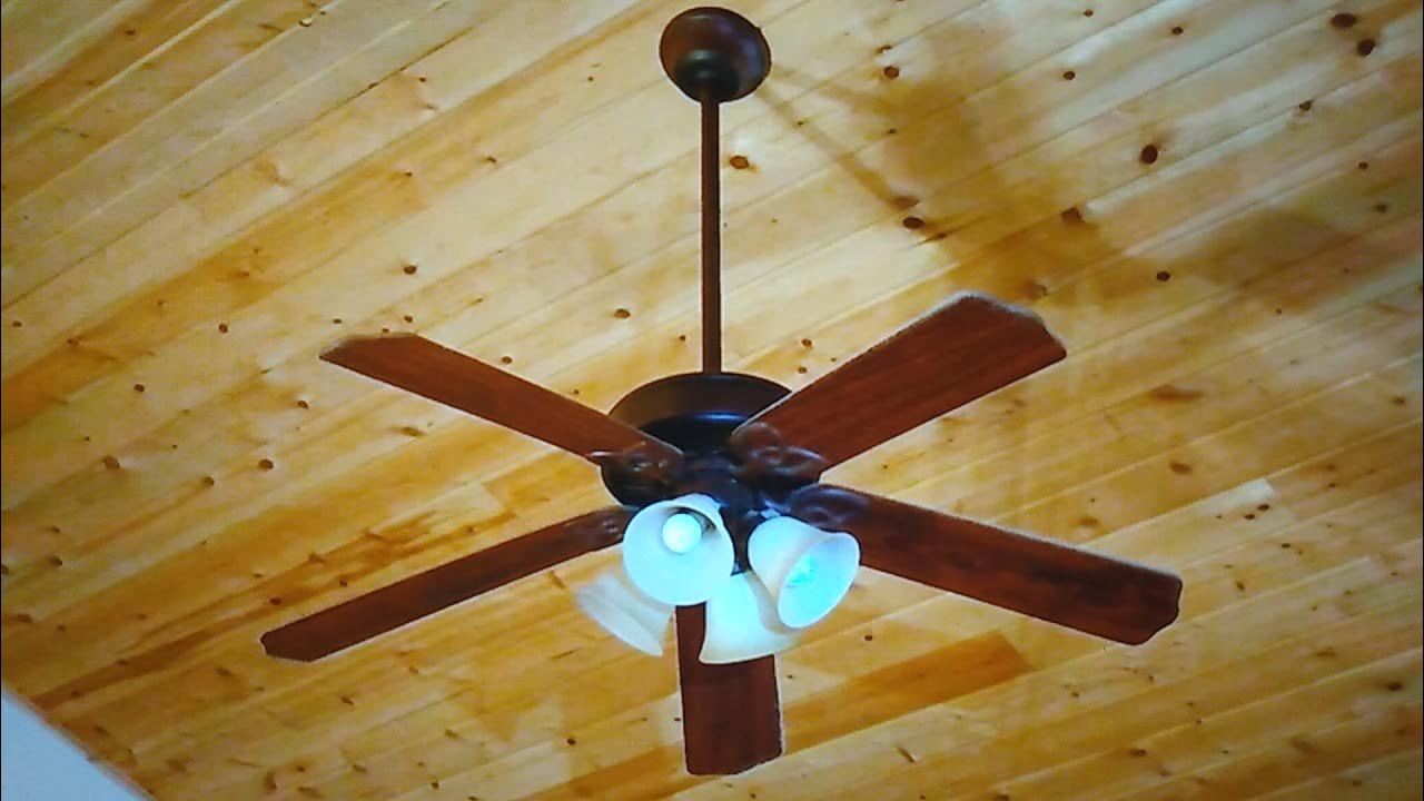 Dog Vs Hampton Bay Huntington III Ceiling Fan (Official Barking Dog Hates Ceiling Fan) YouTube